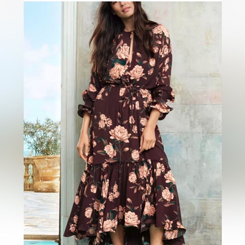 NWT Johanna Ortiz x H&M floral brown ruffle maxi dress, XS